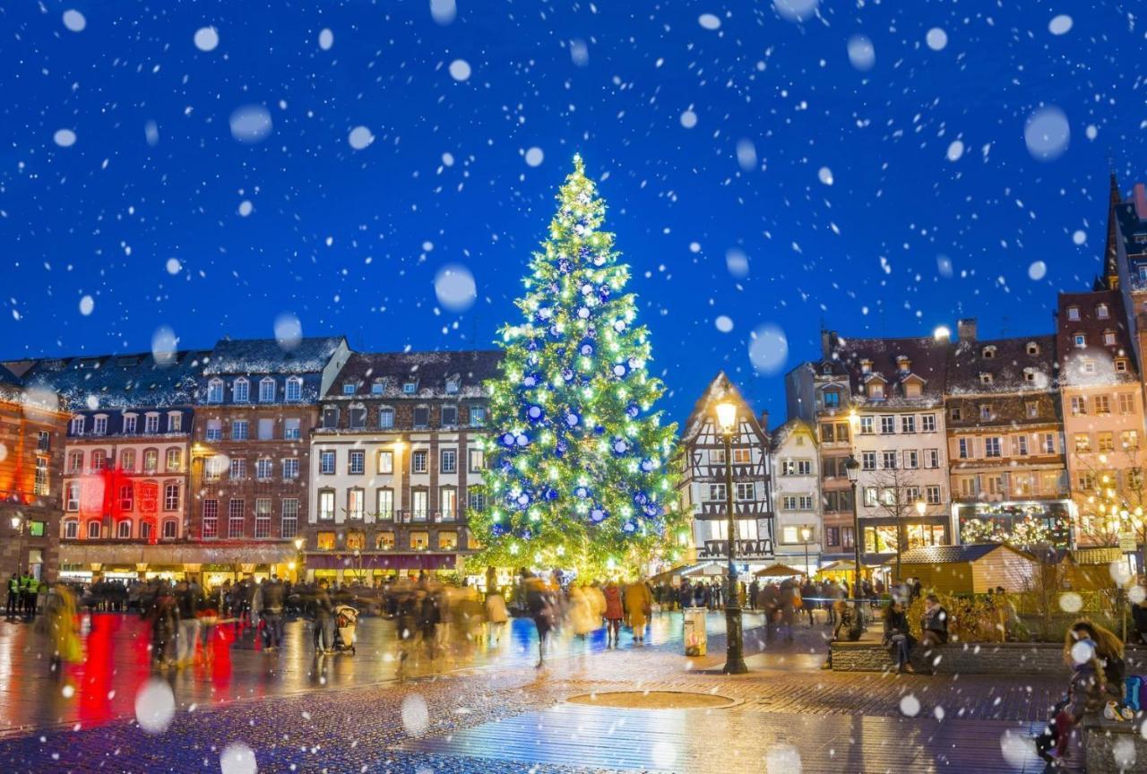 Appartements De La Pleiade Strasbourg Eksteriør bilde